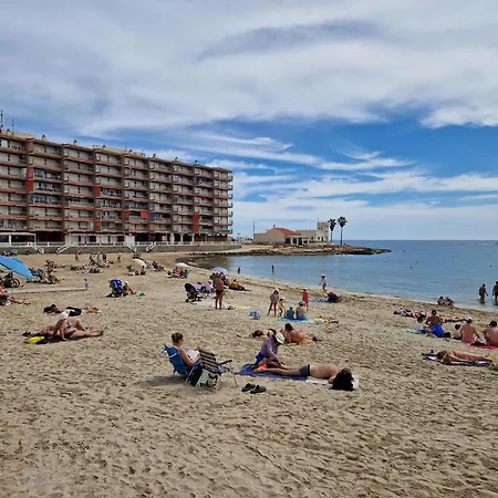 Seanest Torrevieja